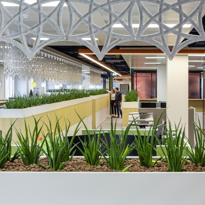 cool office space design with biophilic features